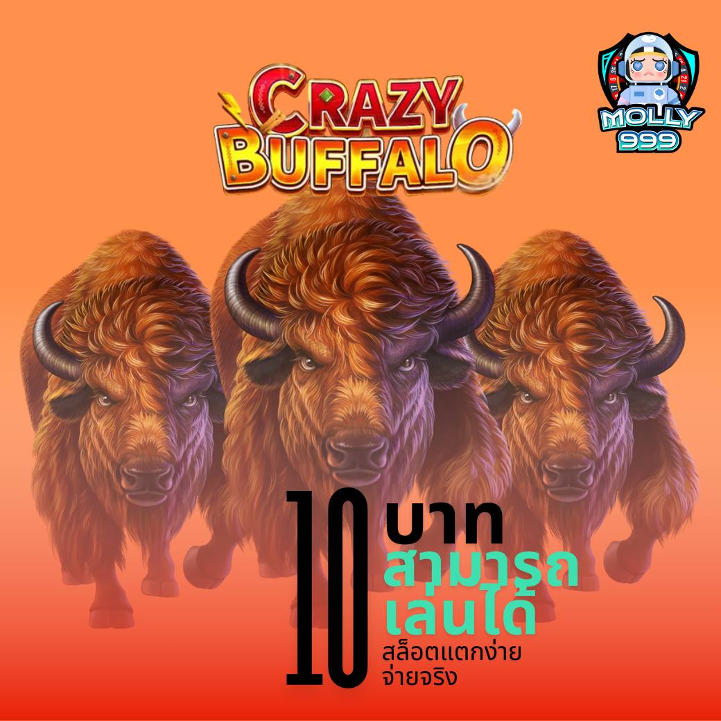 Betflik Rich เว็บคาสิโนออนไลน์ ระบบออโต้ บริการครบครันและปลอดภัย
