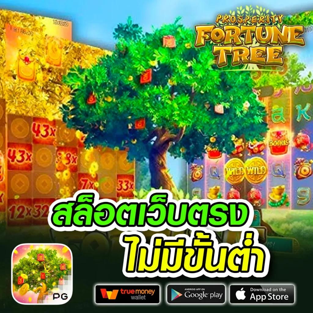 z ผลบอลบ้านผลบอล คาสิโน เว็บตรง มั่นใจ ได้เงินจริง เปิดครบทุกลีก