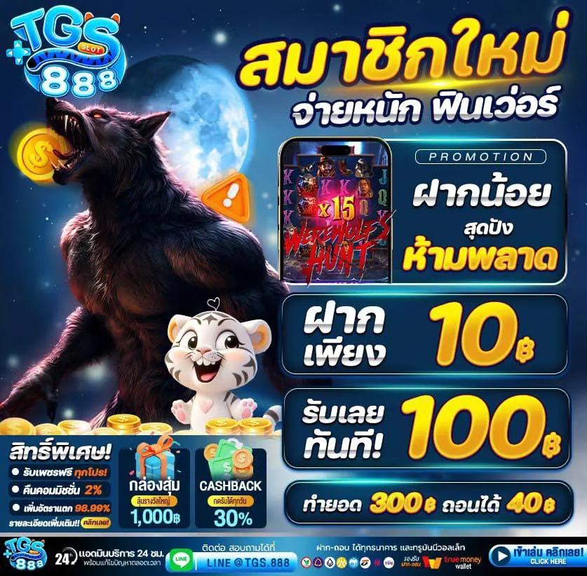 มัฟฟี่แค4 เว็บเดิมพันออนไลน์ยอดนิยม แจกโบนัสสุดคุ้ม 2024